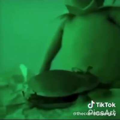 Green muppet loudly enjoys the inside of popeyes chicken and still begs for more