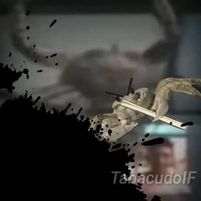 Até onde eles vão chegar?