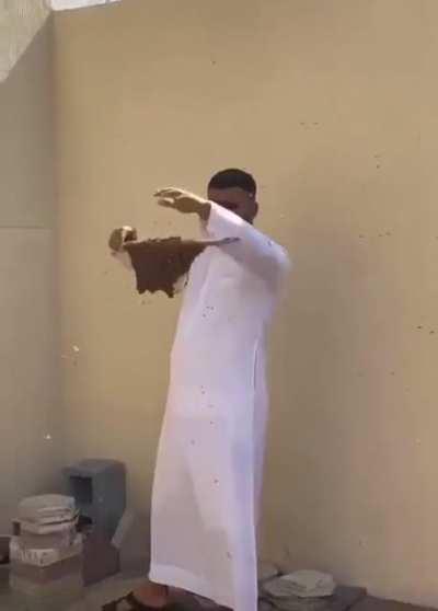 Shaking a bee hive/swarm