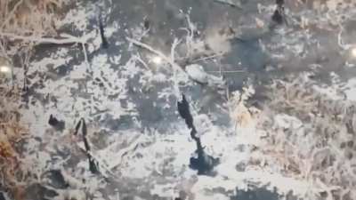 An FPV drone kills a Russian soldier, two soldiers were killed earlier