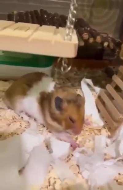 Hey, what happened...