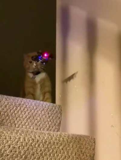 Yeah not in my house buddy