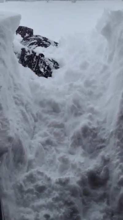 my husband being a derp while playing in the blizzard we're currently going through!