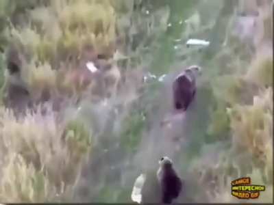 Just one of the crew. 