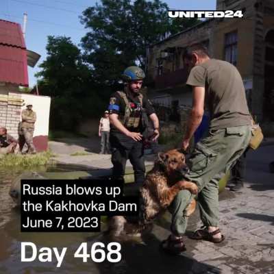 1,000 days of loss and devastation, but also of resilience and courage