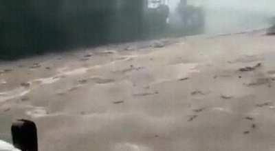 This is not how I'd chose to go