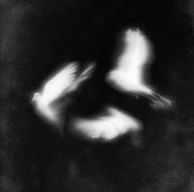 (DEFINIVE) Showtime/This One Here Ft.Don Toliver, Ty Dolla $ign