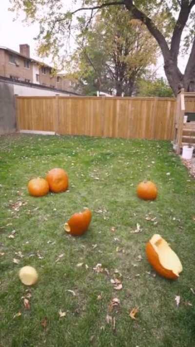 There is not enough context in this video for a good title.