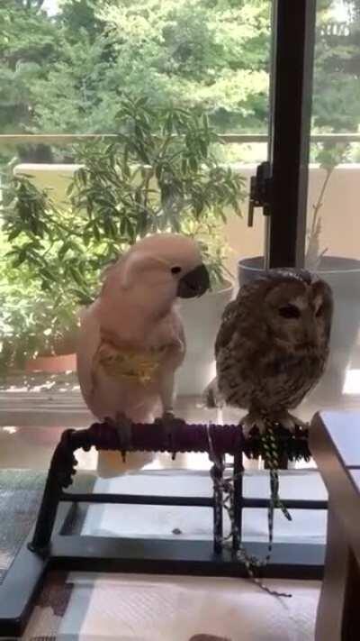 What do you want from me?