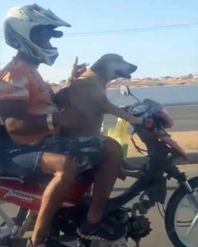 since WLR dropping in 3 days, quick Goku appreciation post