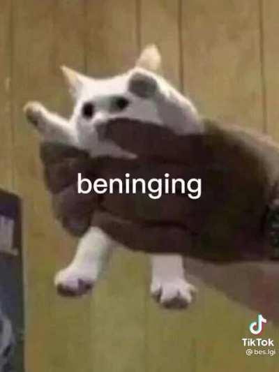 An interesting title