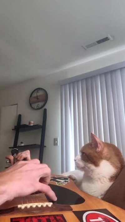 He was not impressed