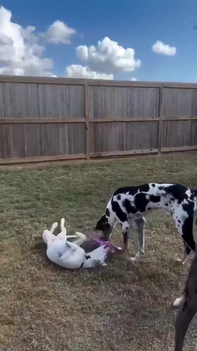 From the corner of fear to the center of someone's world.