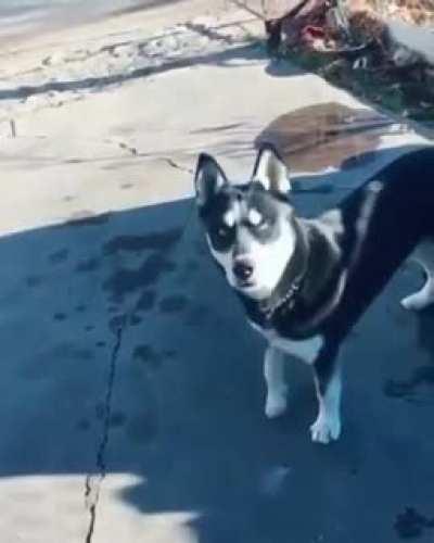 His attitude (sound on)