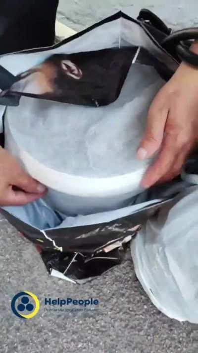 A wonderful woman in the Kherson region found a little pheasant, took it to her home, and refused to abandon it and when she decided to evacuate, she took it with her. They were evacuated together! thanks for your support