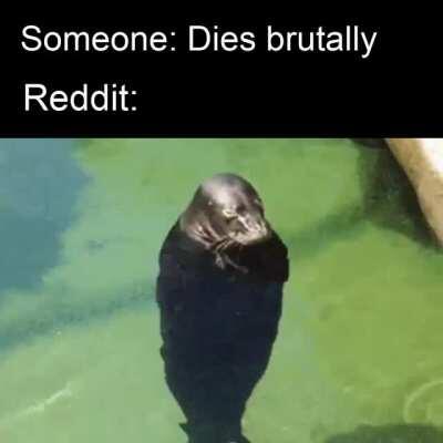 Seal of wholesomeness 100