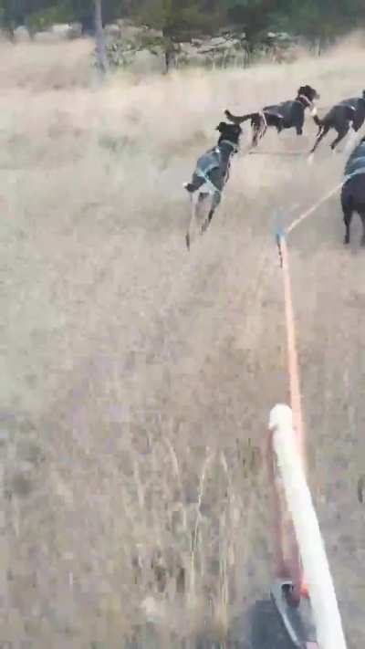 Off trail navigation training