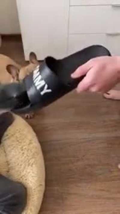 No no I don't eat it again