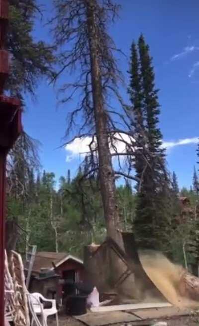 HMFT after I get my shit wrecked by bad planning and gravity