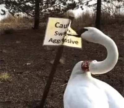 These drones are getting smarter in hiding their tracks!