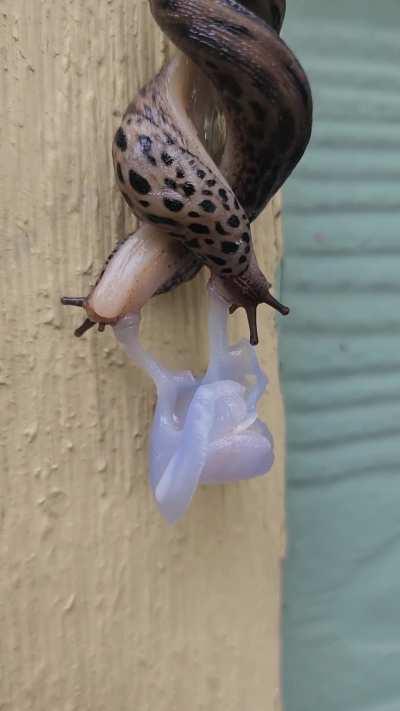 I've never seen it up close before. 