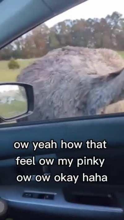 it's bad to feed some animals