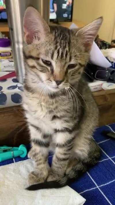 Joey can’t hold his eyes open.