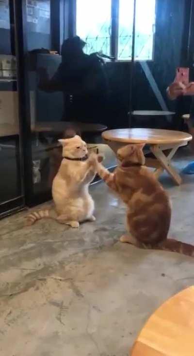 What are they doing?