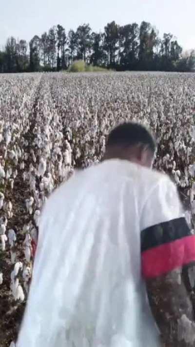 An interesting title