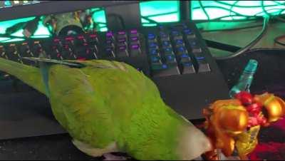 Unreleased footage of Samus fighting a new type of Ch0zo