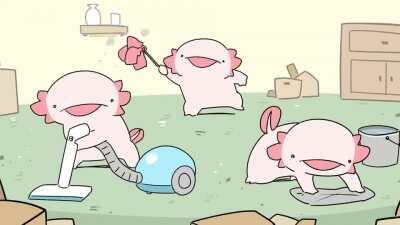 Axolotl's suddenly dislike everything