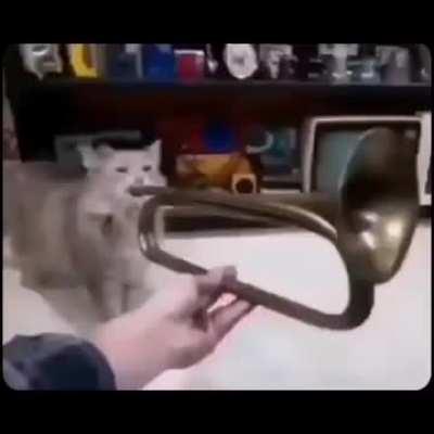 sing it, little man rule.