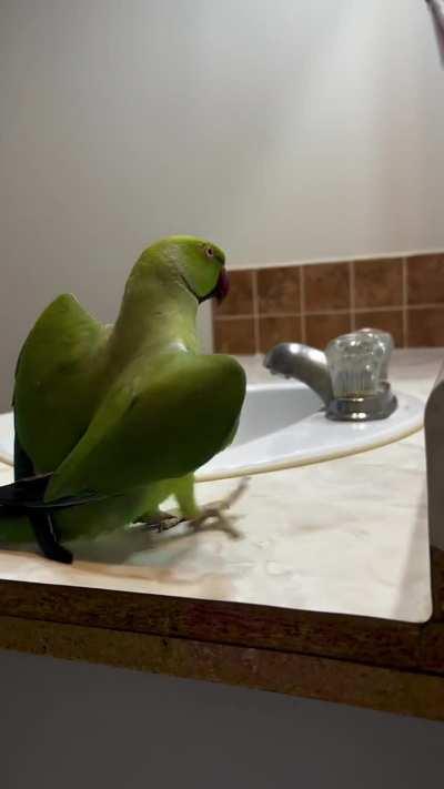 How to pick up ladies 101