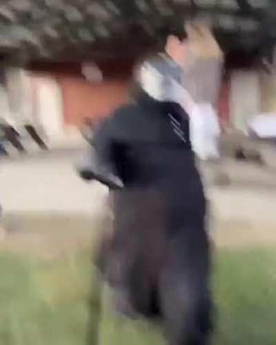 Quando ficas com um caso raro de deficiência de azeite podes contar com o dotor tuga 🥵 🥵