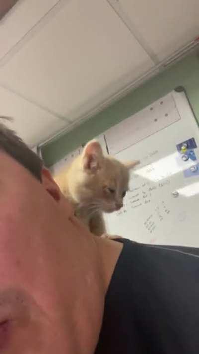 My new massage therapist and acupuncturist is working me hard this morning.