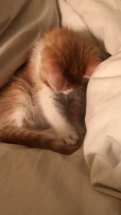 When you discover your tail.