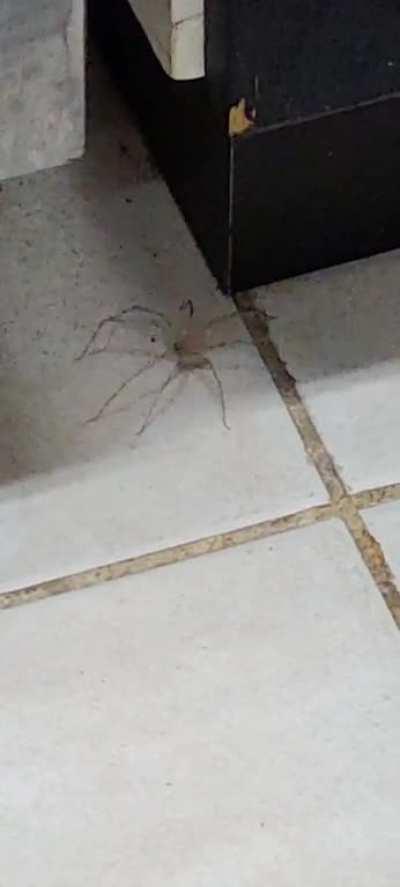 anyone know why they do this?