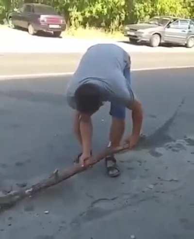 HMFT after testing a nice stick
