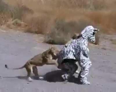 I mean... Darwin Award right here