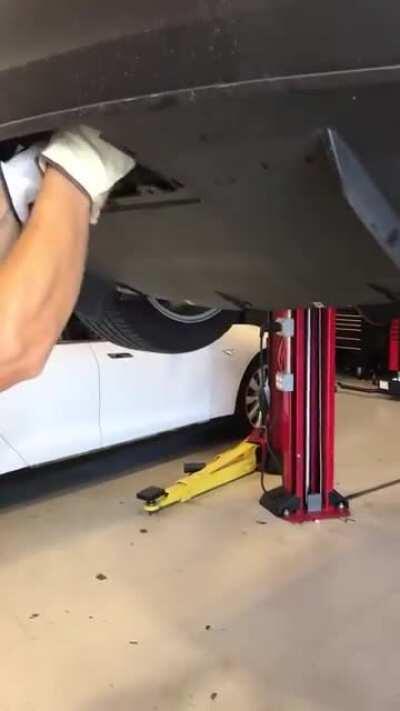 Evil Tesla workers put kitten back in car!!