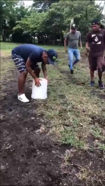 Atrapando “pepenchitas”