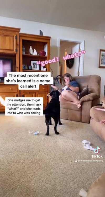 My service dog recently learned a new task!