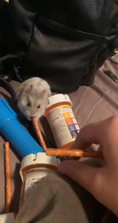 A CRIMINAL !!!!! PRETZEL THIEF CAUGHT ON CAMERA !!!!!!!!!