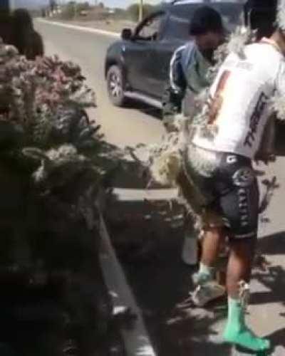 So how was your day?