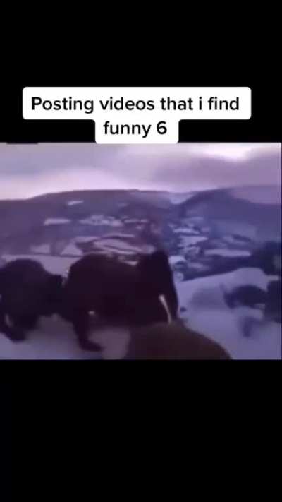 I found that funny idk wbu