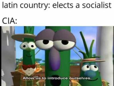 we're just gonna dismantle your government and put a puppet dictator in charge, we cool?