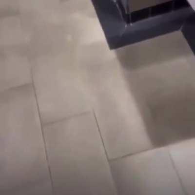 New Carti x Kanye snippet possibly off the grid ??