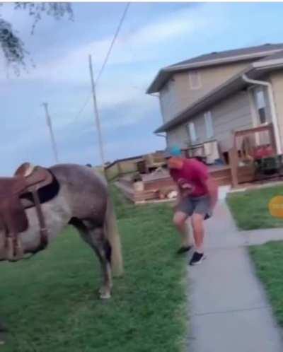 JJ when he tries to beat up a horse (still think you would win)