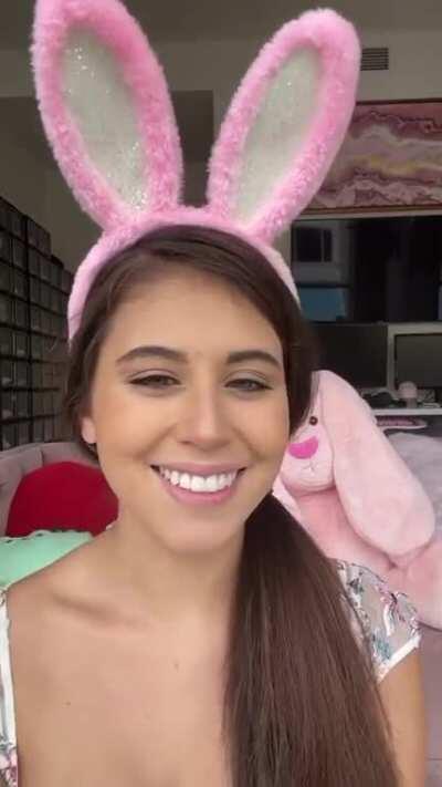 ☀️Sunday Bunny😍