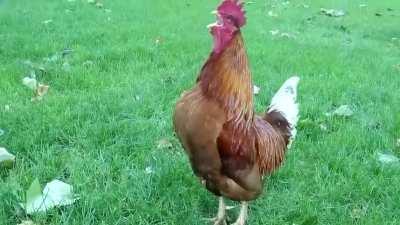 Wake up every morning to this